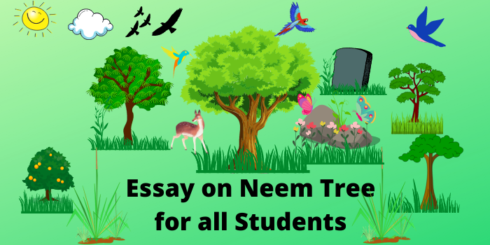Essay on neem tree in English for all students