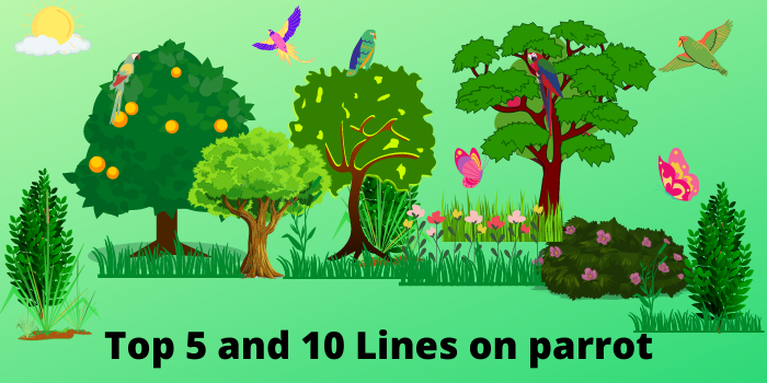 top 5 and 10 lines on parrot in English for all students