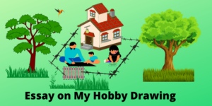 Essay on My Hobby Drawing in English for all Students 2024