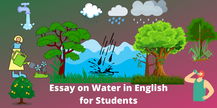 Essay on Water in English for all class Students